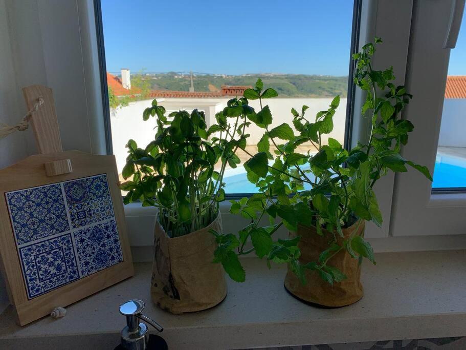Joia Da Casa House With Private Pool Villa Sobral  Екстериор снимка