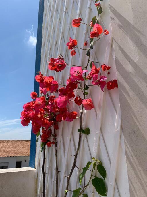 Joia Da Casa Villa Sobral  Екстериор снимка