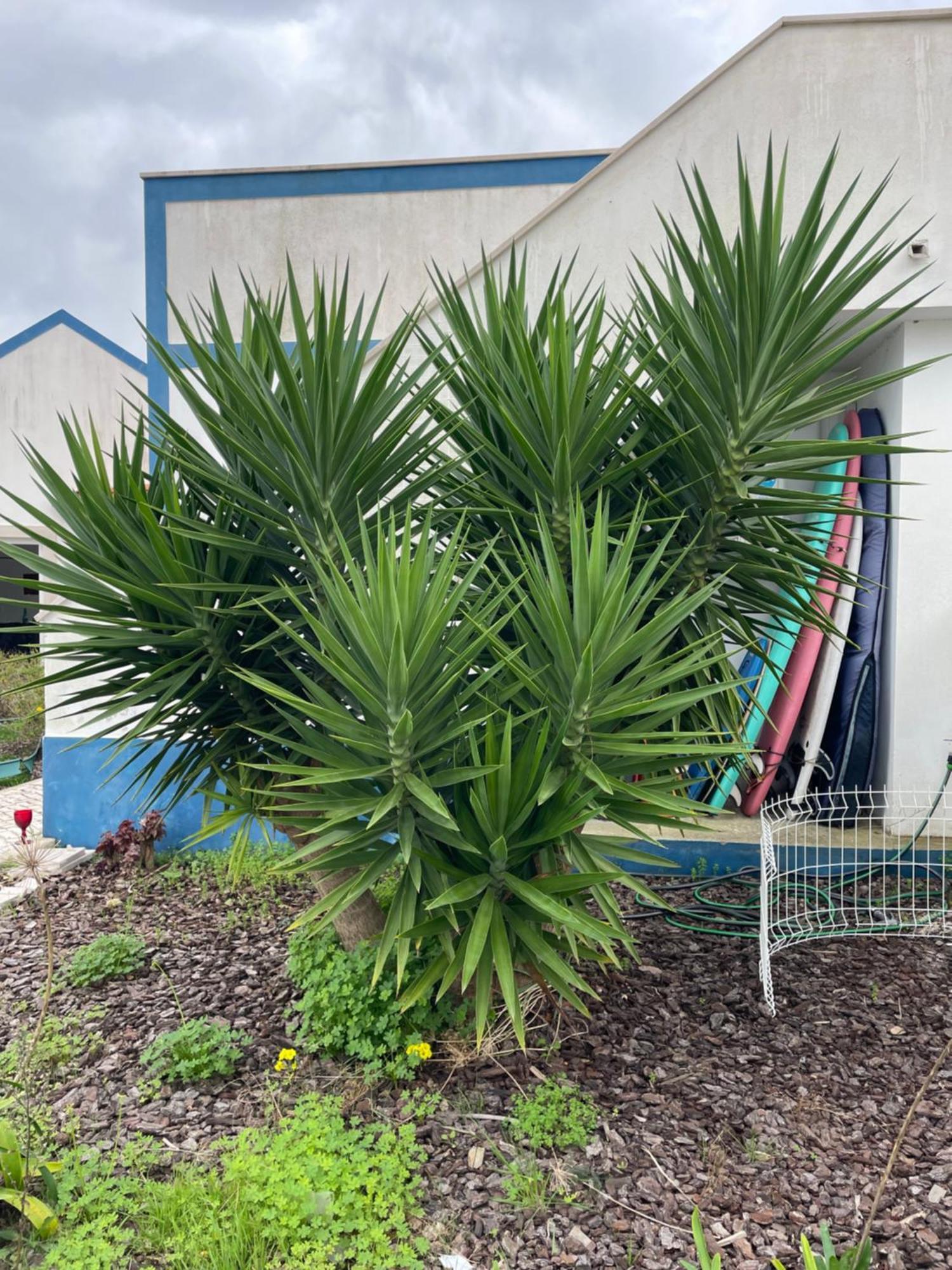 Joia Da Casa Villa Sobral  Екстериор снимка