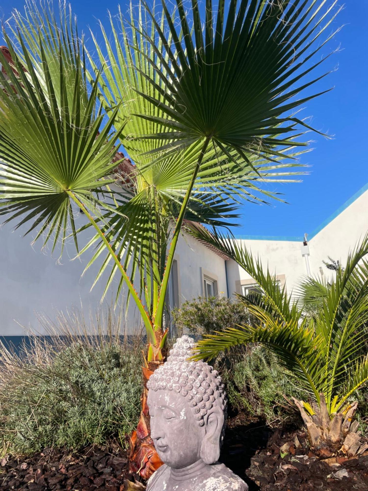 Joia Da Casa Villa Sobral  Екстериор снимка